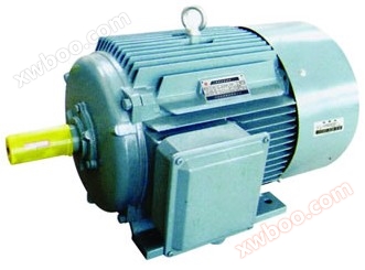 YZ / YZR-serie (IP54) hefmetallurgische driefase asynchrone motor (H80-355)